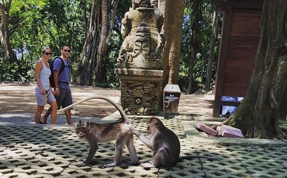 Lokasi Wisata, Rute Jalan, Keistimewaan Mandala Wisata Wenara Wana, Etika Berkunjung, Tiket Masuk Pengunjung, Fasilitas yang Tersedia, Tips Saat Berkunjung, Obyek Wisata Sejenis
