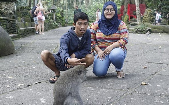 Lokasi Wisata, Rute Jalan, Keistimewaan Mandala Wisata Wenara Wana, Etika Berkunjung, Tiket Masuk Pengunjung, Fasilitas yang Tersedia, Tips Saat Berkunjung, Obyek Wisata Sejenis