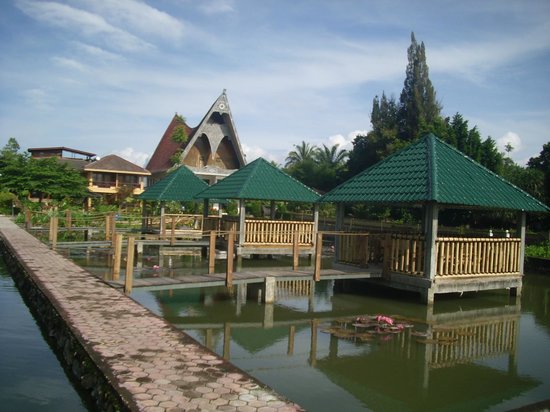 1. Horas Family Home, 2. Mas Cottages, 3. Toba Village Inn, 4. Toba Sunset, 5. Zoe’s Paradise Waterfront, 6. Toba Cats Garden, 7. Judita, 8. DGINN Café &amp; Bar, 9. Pondok Berata Dapdap, 10. Laster Jony’s