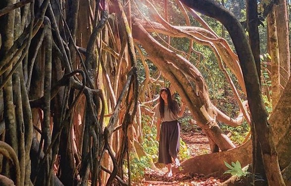 Lokasi Dimana, Sejarah Singkat, Flora dan Fauna, Fasilitas Yang Ada, Destinasi Menarik, Harga Tiket Masuk, Rute Menuju Lokasi