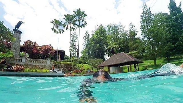 1. The Green Forest, 2. Mercure Bandung, 3. Kastuba, 4. Dulang Resort, 5. Bukit Cikahuripan, 6. Sangria, 7. The Valley, 8. Sapu Lidi, 9. Villa Air Natural, 10. Cikole Jayagiri, 11. Argapuri, 12. Tea Garden, 13. Ciater Highland, 14. Shinta Corner Ranch, 15. Trizara