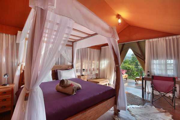 1. Ayana Resort And Spa, 2. The Seminyak Beach Resort&Spa, 3. Ayodya, 4. Holiday Inn Family, 5. Bulgari, 6. The Camakila Legian, 7. Conrad, 8. Four Season At Jimbaran Bay, 9. Villa &Resort Ibu Rama, 10. Ubud Sari Health Retreat, 11. Sang Giri Mountain Glamping, 12. Plago Holiday, 13. Grand Hyatt, 14. The Jayakarta, 15. Intercontinental