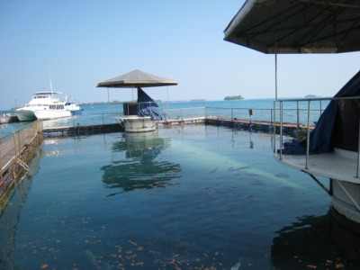 1. Pulau Ayer Resort &amp; Cottage, 2. Grand Kemang-Mesa, 3. FM7 Resort Hotel, 4. Pondok Layung, 5. Putri Island, 6. H Island, 7. Harris Hotel, 8. The Jayakarta, 9. Putri Duyung Beach, 10. Ody Dive Resort