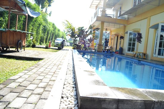 1. Hotel Arjuna, 2. Villa Tjokro, 3. Hostel Bogor, 4. Sentul 8 Madang, 5. Nirmala Resort, 6. Green Sentul Indah, 7. Cisarua Indah, 8. The Cibulan Suites, 9. Hotel Lurus, 10. Aries Biru