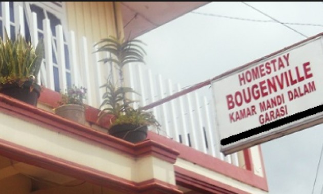 1. Homestay Cahaya, 2. Losmen Bu Djono, 3. Puspa Indah, 4. Homestay Flamboyan, 5. Hotel Asri I, 6. Hotel Arjuna, 7. Homestay Cempaka, 8. Fiedan Homestay, 9. Homestay Bougenville, 10. Homestay Ortegha