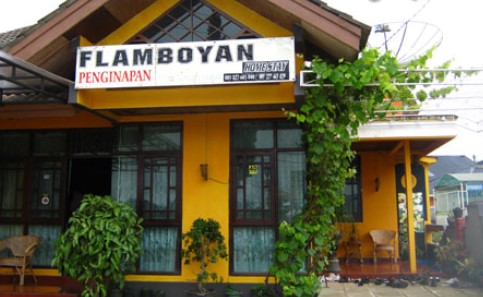 1. Losmen Bu Djono, 2. Homestay Flamboyan, 3. Hotel Arjuna, 4. Kemangi Syariah, 5. BBS Homestay, 6. Homestay Pancawarna, 7. Homestay Cempaka, 8. Dahlia Syariah, 9. Homestay Bougenville, 10. Homestay Ortegha