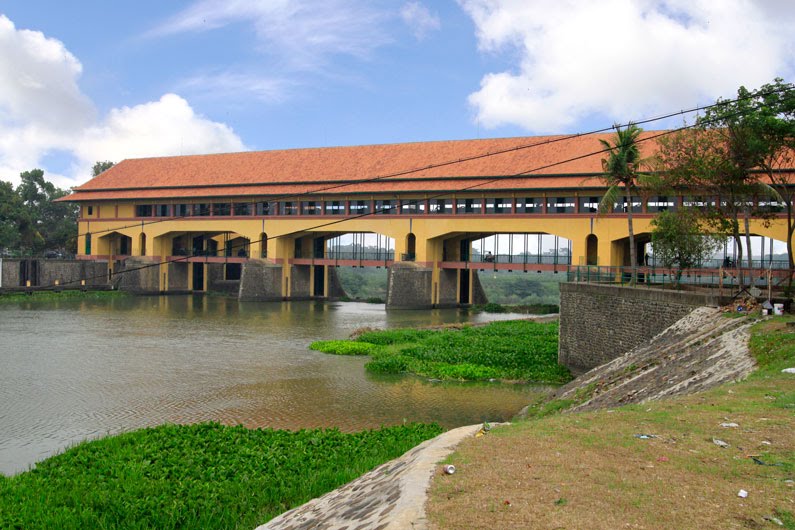 1. Alun-Alun Karawang, 2. Situ Cipule, 3. Bendungan Walahar, 4. Pohon Miring Kosambi, 5. Lapangan Karangpawitan, 6. Wisata Selfi Hutan Kertas, 7. Danau Kalimati