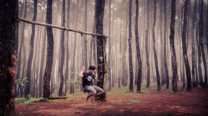 1. Bukit Lintang Sewu, 2. Hutan Pinus Pengger, 3. Kebun Bunga Resoinangun, 4. Bukit Panguk Kediwung, 5. Seribu Batu Songgo Langit, 6. Kid’s Fun, 7. Pintu Langit