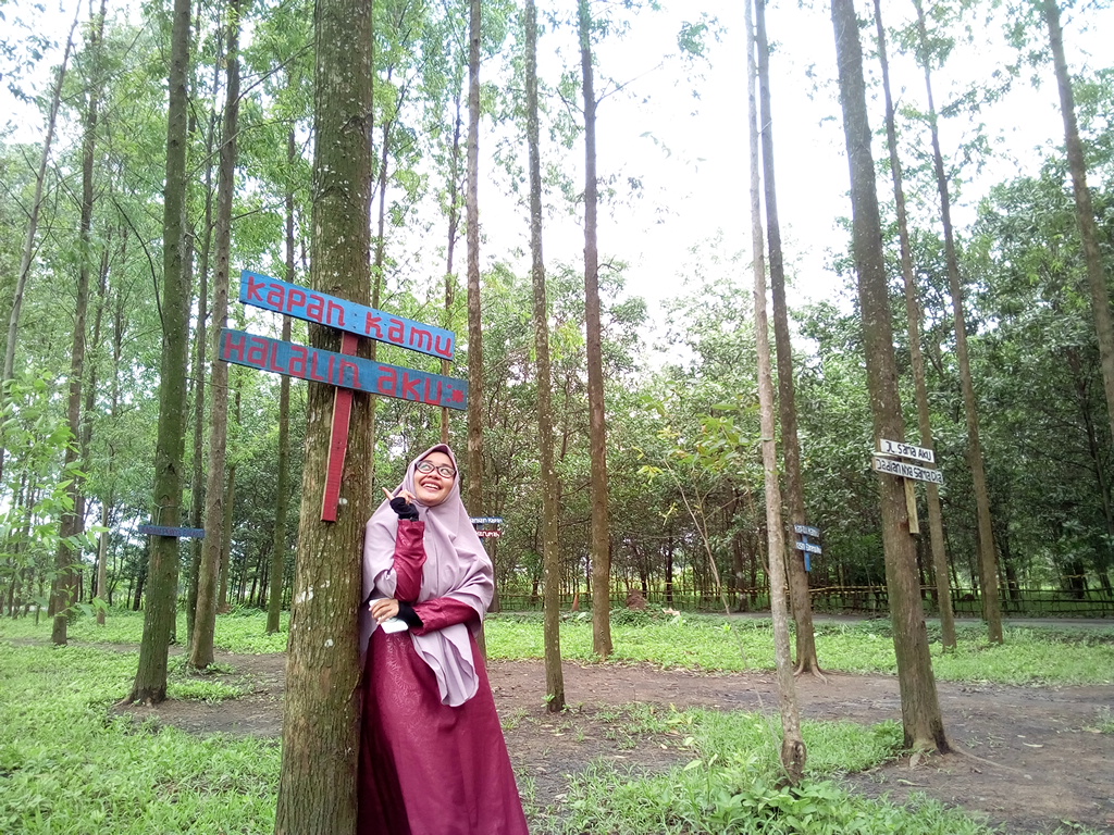 1. Alun-Alun Karawang, 2. Situ Cipule, 3. Bendungan Walahar, 4. Pohon Miring Kosambi, 5. Lapangan Karangpawitan, 6. Wisata Selfi Hutan Kertas, 7. Danau Kalimati