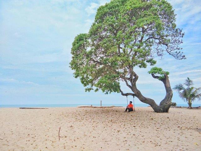 Harga Tiket Masuk, Pantai Laguna, Keindahan Potensi, Penginapan, Jalan Menuju Lokasi