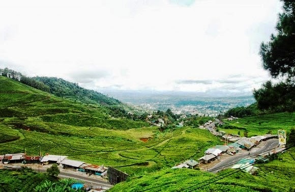 1. Kebun Raya Bogor, 2. Masjid Raya, 3. Taman Safari, 4. Taman Air Mancur, 5. Taman Kencana, 6. Taman Peranginan, 7. Taman Topi, 8. Telaga Warna, 9. Gunung Riung, 10. TWM Park, 11. Hutan Kota Ahmad Yani, 12. Lapangan Sempur