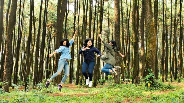 Mengenal Gunung Pancar, Suhu dan Vegetasi, Cerita Misteri, Harga Tiket Masuk, Aktifitas, Hotel Atau Penginapan, Rute Ke Lokasi Naik Motor, Tips Berlibur