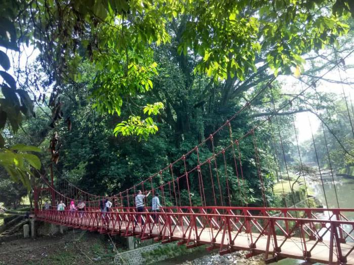 Harga Tiket Masuk, Monumen Lady Raffles dan Danau Gunting, Prasasti Reinwardt dan Halaman Belakang Istana, Patung Tangan Tuhan, Patung The Little Mermaid, Pemakaman Belanda Kuno, Taman Tugu Teijsman, Laboratorium Treub dan Wisma Tamu Nusa Indah, Museum Zoologi, Taman Meksiko, Jembatan Pemutus Cinta, Sisi Menarik Jalan Kenari II, Taman Astrid, Keunikan Jalan Astrid dan Bunga Tasbih, Indahnya Rumah Anggrek, Taman Soedjana Kassan, Makam Mbah Jepra, Mitos di Kebun Raya