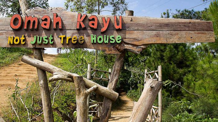 Mengenal Omah Kayu, Menelusuri Omah Kayu, Melihat Interior, Area Yang Menarik, Jalan Menuju Lokasi, Harga Tiket Masuk, Fasilitas Yang Ada, Tips Berlibur