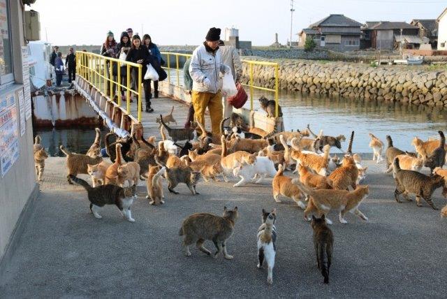 1. Seagaia Ocean Dome, 2. Kataonami Beach, 3. Pulau Kucing, 4. Kondoi, 5. Inu-jima Island, 6. Nishikinohama, 7. Sunset, 8. Enoshima, 9. Minna Beach, 10. Yonaha Maehama