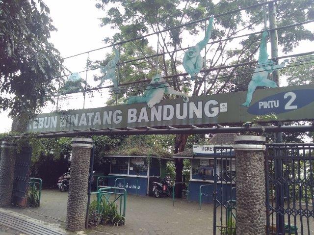 1. Memiliki Lebih dari 200 Jenis Satwa, 2. Kebun Binatang yang Asri, 3. Lokasi yang tidak hanya untuk Kebun Binatang, 4. Menikmati Sajian Pagelaran Budaya, 5. Berkeliling Kebun Binatang dengan Perahu Kayu, 6. Serunya Menyaksikan Tingkah Lucu Satwa di Teater Satwa, 7. Foto Bersama Badut Karakter, 8. Merasakan Serunya Menunggangi Satwa, 9. Seru Bermain Outbound dan Wahana Bermain Anak