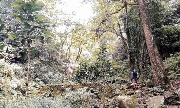 Rute Menuju Lokasi, Harga Tiket Masuk , Asal Usul, Air Terjun Sekitar 
