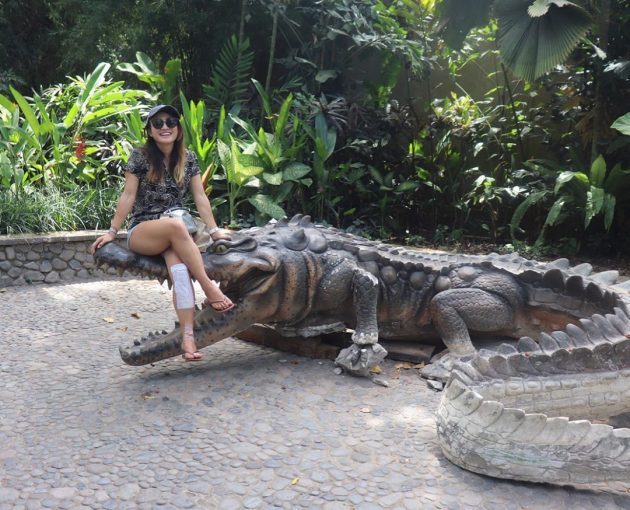 Sejarah Singkat, Visi dan Misi, Keunikan Bali Zoo, Lokasi Bali Zoo, Harga Tiket Masuk , Fasilitas Yang Ada , PreWedding, Cara Menuju Bali Zoo, Penginapan dan Wisata Terdekat 
