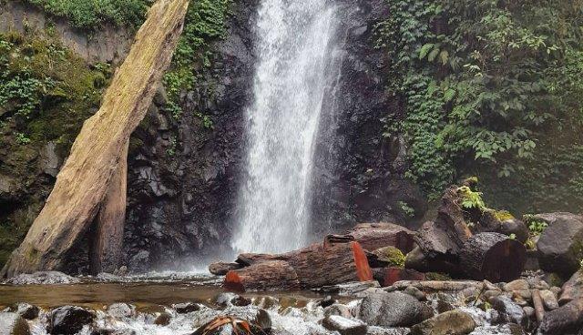 1. Pasucen, 2. Kedung Grenjeng, 3. Kalimancur, 4. Nglirip, 5. Kali Karang, 6. Kebun Rayap