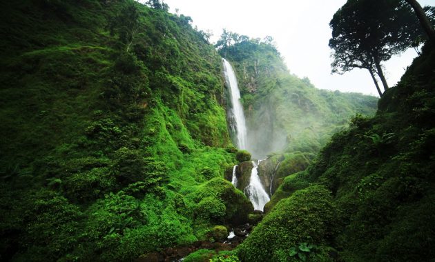 10 Tempat Healing di Cianjur untuk Liburan Keluarga: Pemandangan Alam, Segar dan Menyejukkan 1 Pemandangan air terjun di Cianjur dengan udara segar pegunungan, 1. Taman Sari Watukelic, 2. Curug Citambur, 3. Kampoeng Danar Hadi, 4. Puncak Besar Cianjur, 5. Situ Cangkuang, 6. Kebun Teh Gunung Mas, 7. Talang Lake View, 8. Agri Tourism Cisanti, 9. Pengarengan Hill, 10. Curug Nangka