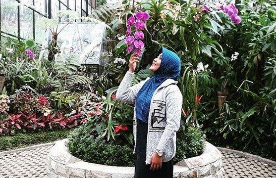 Daya Tarik Orchid Forest Cikole, Menyusuri Sky Bridge, Spot Foto yang Indah, Arena Outbound Seru, Serunya Menginap di Camping Ground Orchid Forest Cikole, Konsultasi tentang Anggrek dengan Pakarnya, Fasilitas di Orchid Forest Cikole, Rute Menuju ke Lokasi