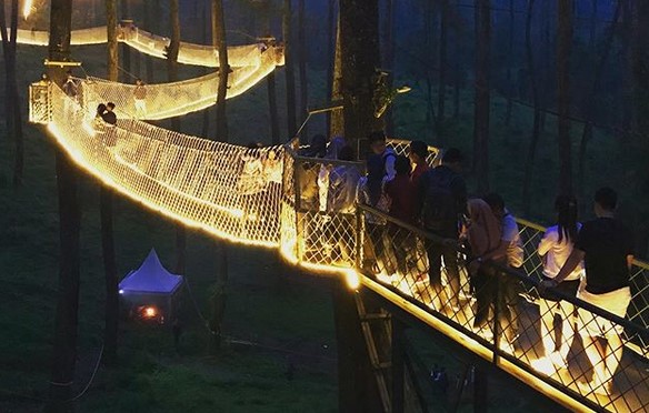 Daya Tarik Orchid Forest Cikole, Menyusuri Sky Bridge, Spot Foto yang Indah, Arena Outbound Seru, Serunya Menginap di Camping Ground Orchid Forest Cikole, Konsultasi tentang Anggrek dengan Pakarnya, Fasilitas di Orchid Forest Cikole, Rute Menuju ke Lokasi