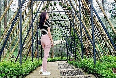 Daya Tarik Orchid Forest Cikole, Menyusuri Sky Bridge, Spot Foto yang Indah, Arena Outbound Seru, Serunya Menginap di Camping Ground Orchid Forest Cikole, Konsultasi tentang Anggrek dengan Pakarnya, Fasilitas di Orchid Forest Cikole, Rute Menuju ke Lokasi