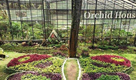 Daya Tarik Orchid Forest Cikole, Menyusuri Sky Bridge, Spot Foto yang Indah, Arena Outbound Seru, Serunya Menginap di Camping Ground Orchid Forest Cikole, Konsultasi tentang Anggrek dengan Pakarnya, Fasilitas di Orchid Forest Cikole, Rute Menuju ke Lokasi