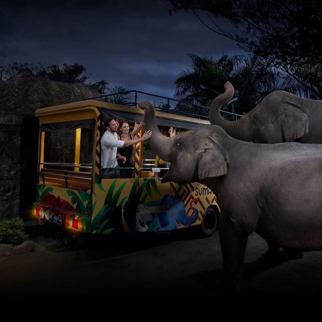 Sejarah Singkat, Visi dan Misi, Keunikan Bali Zoo, Lokasi Bali Zoo, Harga Tiket Masuk , Fasilitas Yang Ada , PreWedding, Cara Menuju Bali Zoo, Penginapan dan Wisata Terdekat 