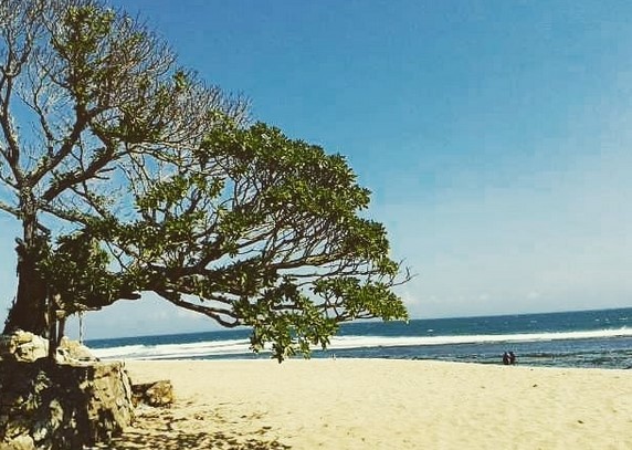 Pok Tunggal, Fasilitas dan Akomodasi, Harga Tiket Masuk, Letak dan Lokasi, Rute Menuju Lokasi