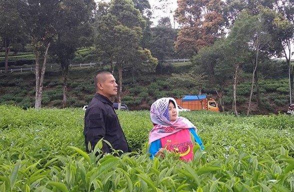 Sejarah Singkat Pemandian Air Panas Ciwalini, Daya Tarik Pemandian Air Panas Ciwalini, Kolam Air Panas di Ciwalini, Menikmati Serunya Wahana Walini Adventure, Tarif Wahana Wisata, Fasilitas di Pemandian, Rute Menuju ke Lokasi