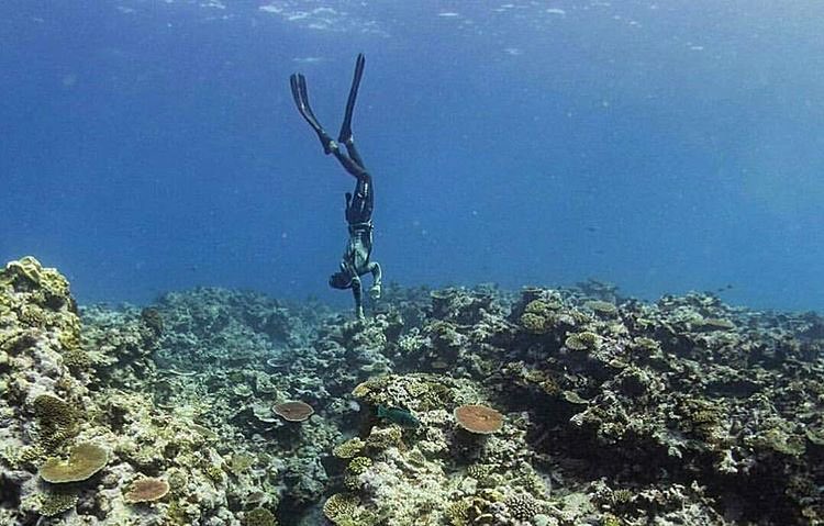 Snorkeling Atau Mancing?, Eksplore Lebih Dalam, Hal Yang Bisa Dilakukan , Fasilitas Yang Ada , Rute Menuju Lokasi