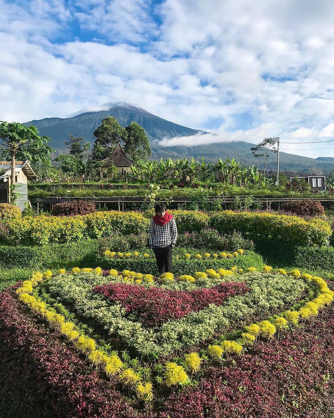 Wisata Alam , Lokawisata Baturraden, Baturraden Adventure Forest, Pesona Air Terjun , Curug Jenggala, Curug Pengantin, Penginapan di Kalipugu, Lokasi Dimana