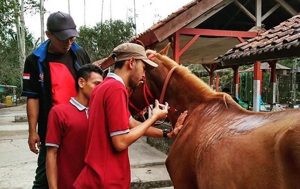 Satwa dan Keindahan, Fasilitas, Harga Tiket Masuk, Jam Operasional, Rute dan Transportasi, Penginapan Terdekat