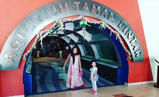 Harga Tiket Masuk, Rute Menuju Taman Pintar, Fasilitas Taman, Tentang Taman Pintar, Wahana Taman Pintar