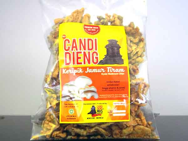 1. Kacang Dieng, 2. Purwaceng, 3. Carica, 4. Kripik Jamur, 5. Geblek dan Tempe Kemul, 6. Terong Belanda, 7. Dendeng Gepuk, 8. Opak Singkong, 9. Teh Tambi, 10. Sagon