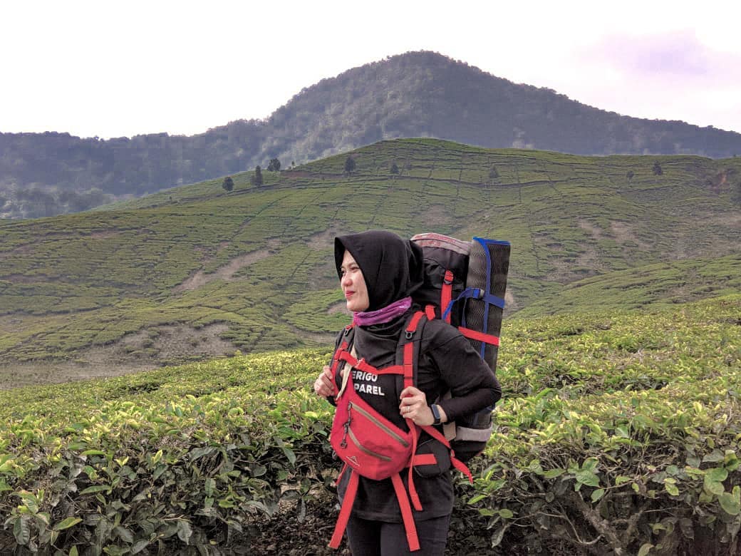 Harga Tiket Masuk, Jalan Menuju Lokasi, Fasilitas, Pesona Gunung Kencana, Sekilas Gunung Kencana