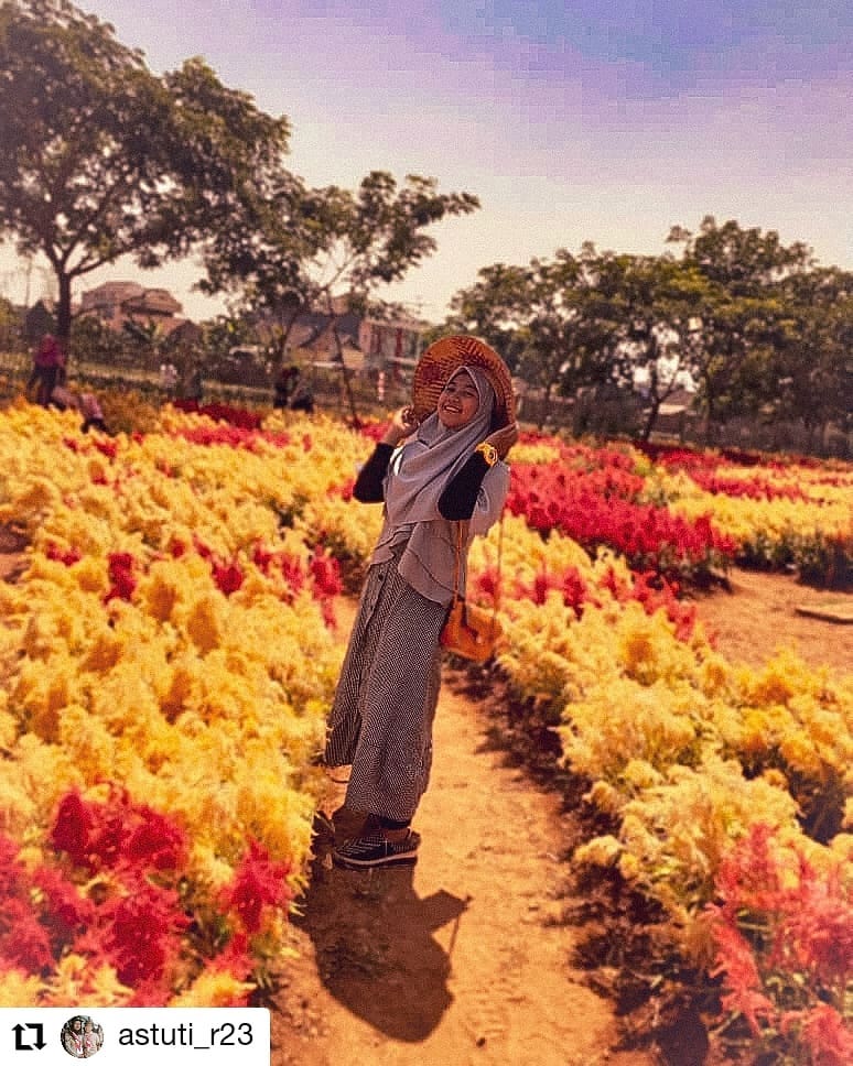 Harga Tiket Masuk, Jalan Menuju Lokasi, Fasilitas, Spot Foto Instagramable, Rencana Pembangunan