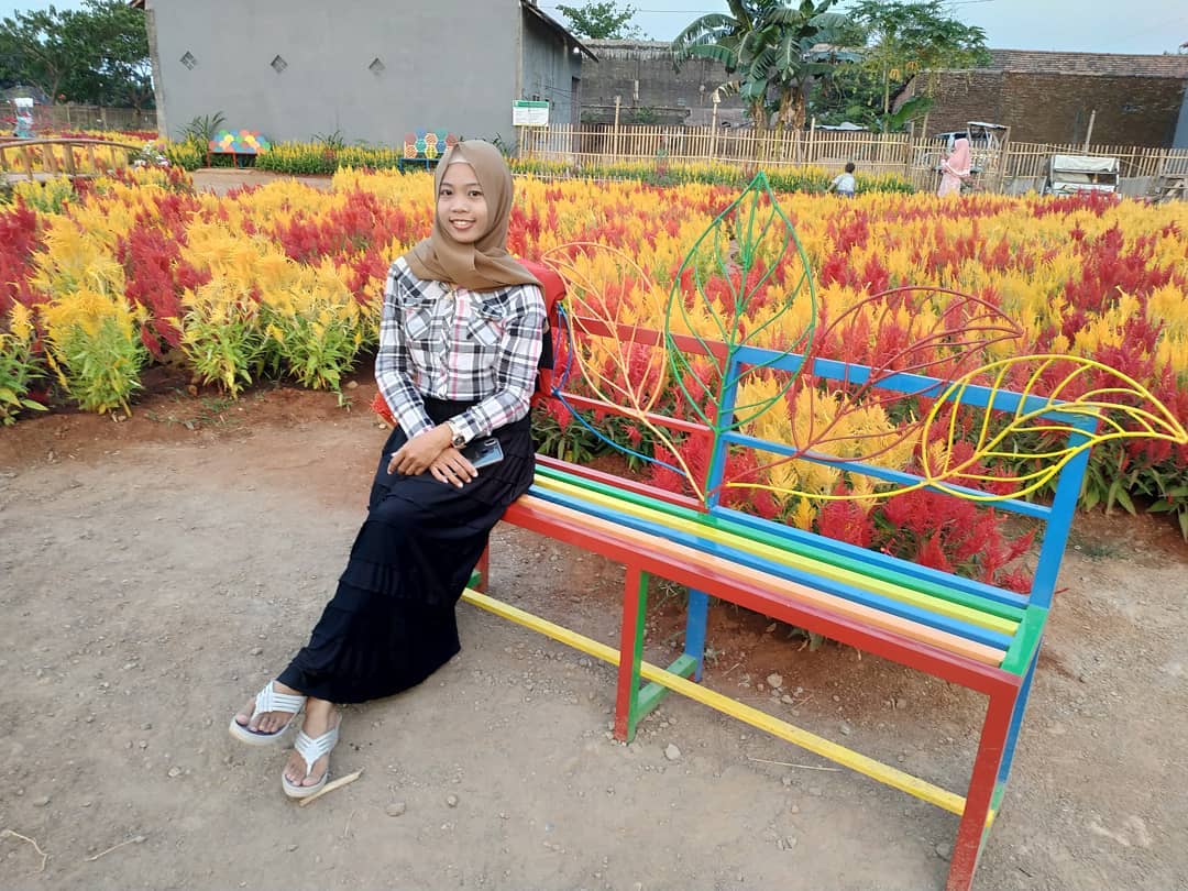 Harga Tiket Masuk, Jalan Menuju Lokasi, Fasilitas, Spot Foto Instagramable, Rencana Pembangunan