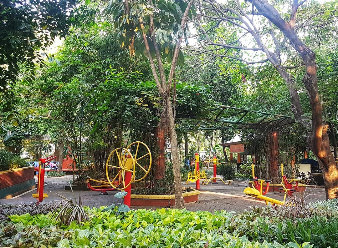 Harga Tiket Masuk, Jalan Menuju Lokasi, Fasilitas, Tentang Taman Flora, Pesona Taman Flora