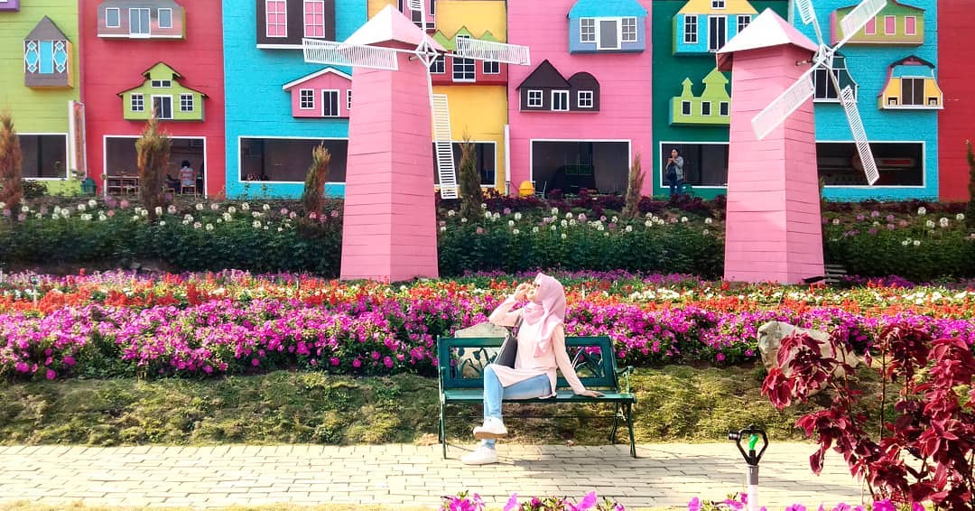 Harga Tiket Masuk, Jalan Menuju Lokasi, Fasilitas, Spot Foto Instagramable, Pesona Taman Bunga Celosia
