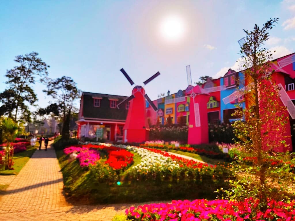 Harga Tiket Masuk, Jalan Menuju Lokasi, Fasilitas, Spot Foto Instagramable, Pesona Taman Bunga Celosia