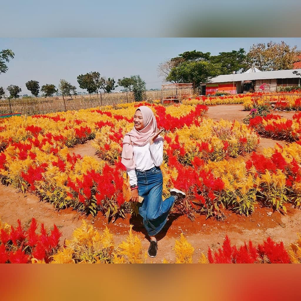 Harga Tiket Masuk, Jalan Menuju Lokasi, Fasilitas, Spot Foto Instagramable, Rencana Pembangunan
