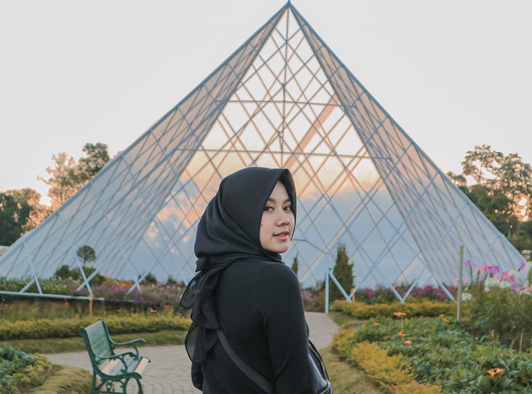 Harga Tiket Masuk, Jalan Menuju Lokasi, Fasilitas, Spot Foto Instagramable, Pesona Taman Bunga Celosia