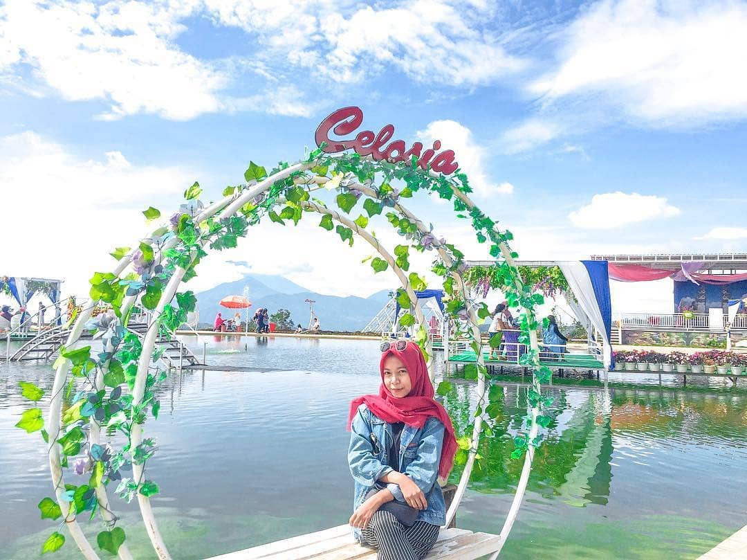 Harga Tiket Masuk, Jalan Menuju Lokasi, Fasilitas, Spot Foto Instagramable, Pesona Taman Bunga Celosia