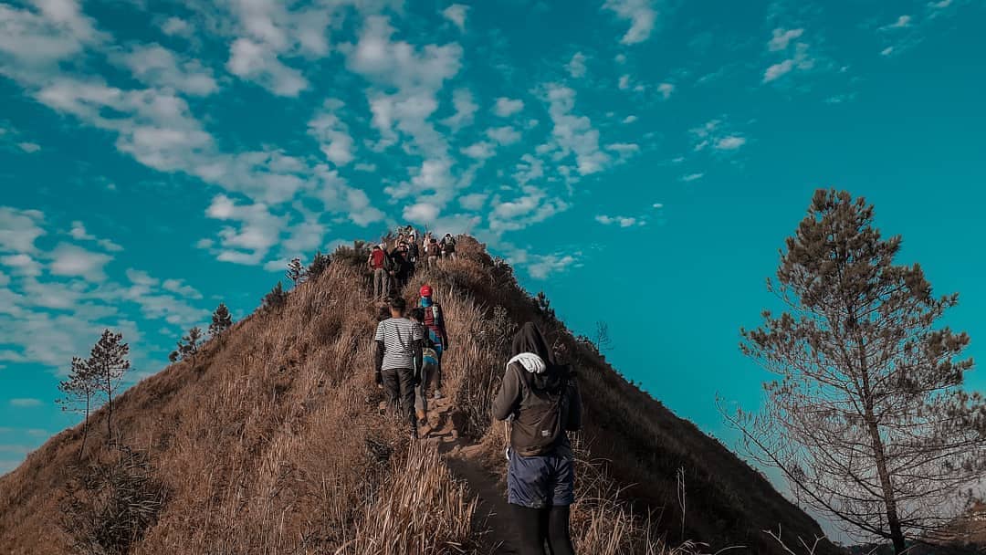 Harga Tiket Masuk, Rute Pendakian Andong Mt., Fasilitas, Sekilas Andong, Pesona Andong