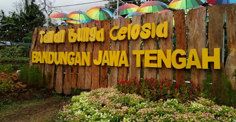 1. Umbul Sidomukti, 2. Candi Gedong Songo, 3. Taman Bunga Celosia, 4. Ayana Gedong Songo, 5. Plantera Fruit Paradise Ngebruk, 6. New Bandungan Indah Waterpark&amp;Family Resort, 7. Wisata Pasar Tradisional, 8. Susan Spa&amp;Resort, 9. Watu Gunung, 10. Curug 7 Bidadari