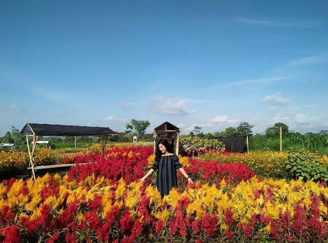 1. Resoinangun Garden, 2. Taman Bunga Asri, 3. Taman Khayana, 4. Taman Bunga Celosia Kemadang, 5. Kukup Mentari, 6. Taman Gumuk Pasir