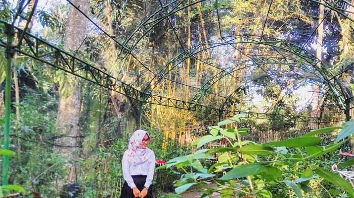 1. Bukit Sakura Kemiling, 2. Taman Kupu-Kupu Gita Persada, 3. Elephant Park, 4. Agrowisata Horti Park, 5. Taman Wisata Lembah Hijau, 6. Alam Wawai Eco Park, 7. Wisata Villa Gardenia, 8. Lungsir, 9. Taman Merdeka Metro, 10. Taman Nemo