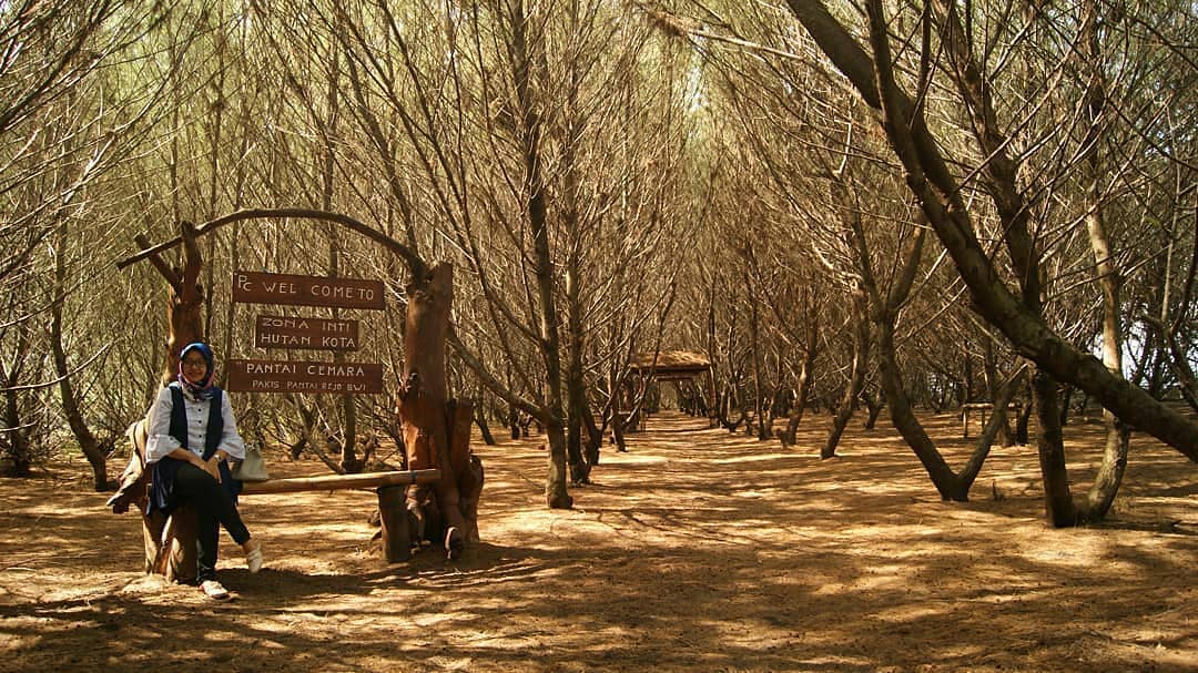 Asal Usul Nama , Keindahan Lokasi, Rute Menuju Lokasi, Harga Tiket Masuk, Penginapan di Sekitar